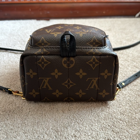 AUTHENTIC Louis Vuitton Palm Springs Mini - Picture 8 of 15